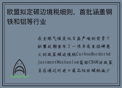 欧盟拟定碳边境税细则，首批涵盖钢铁和铝等行业